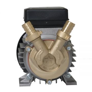 Pompă de Transvazare din alama Grifo G25 pentru vinificatie