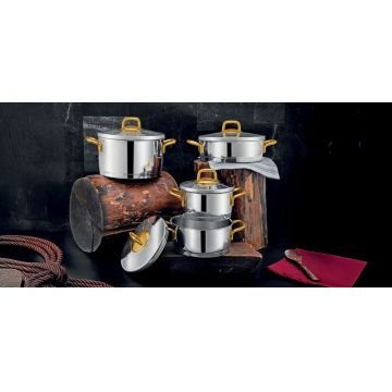 Set vase pentru gatit, Hermia, 357NYP1106, Capac: 18 x 18 cm (1 bucată), Argint / Aur