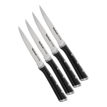 Set de cuțite de friptură din oțel inoxidabil 4 buc Ice Force - Tefal
