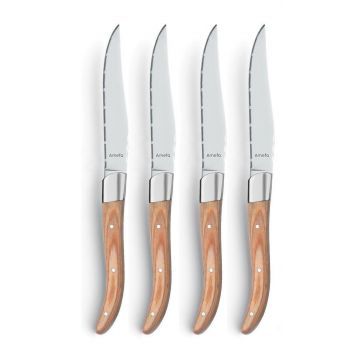 Set 4 cutite inox pentru friptura Amefa Natural